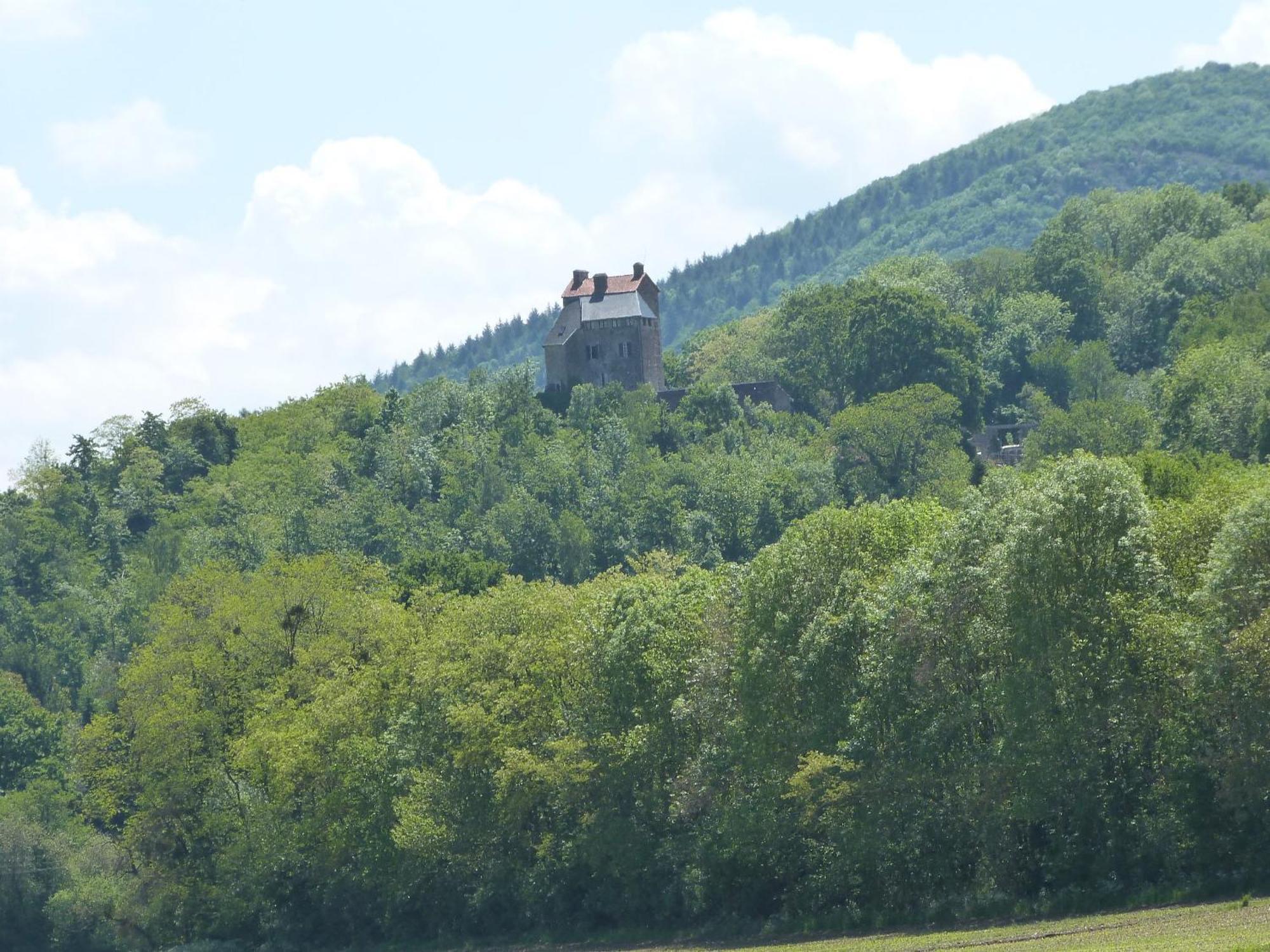 Chambre D'Hotes Chateau Montegut Rustique