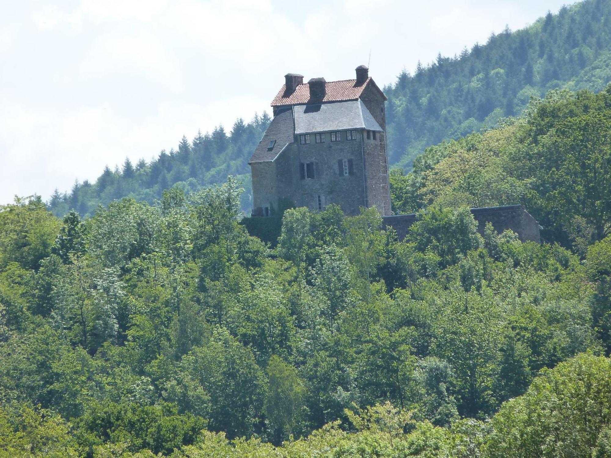 Frühstückspension Chambre D'Hotes Chateau Montegut Rustique *