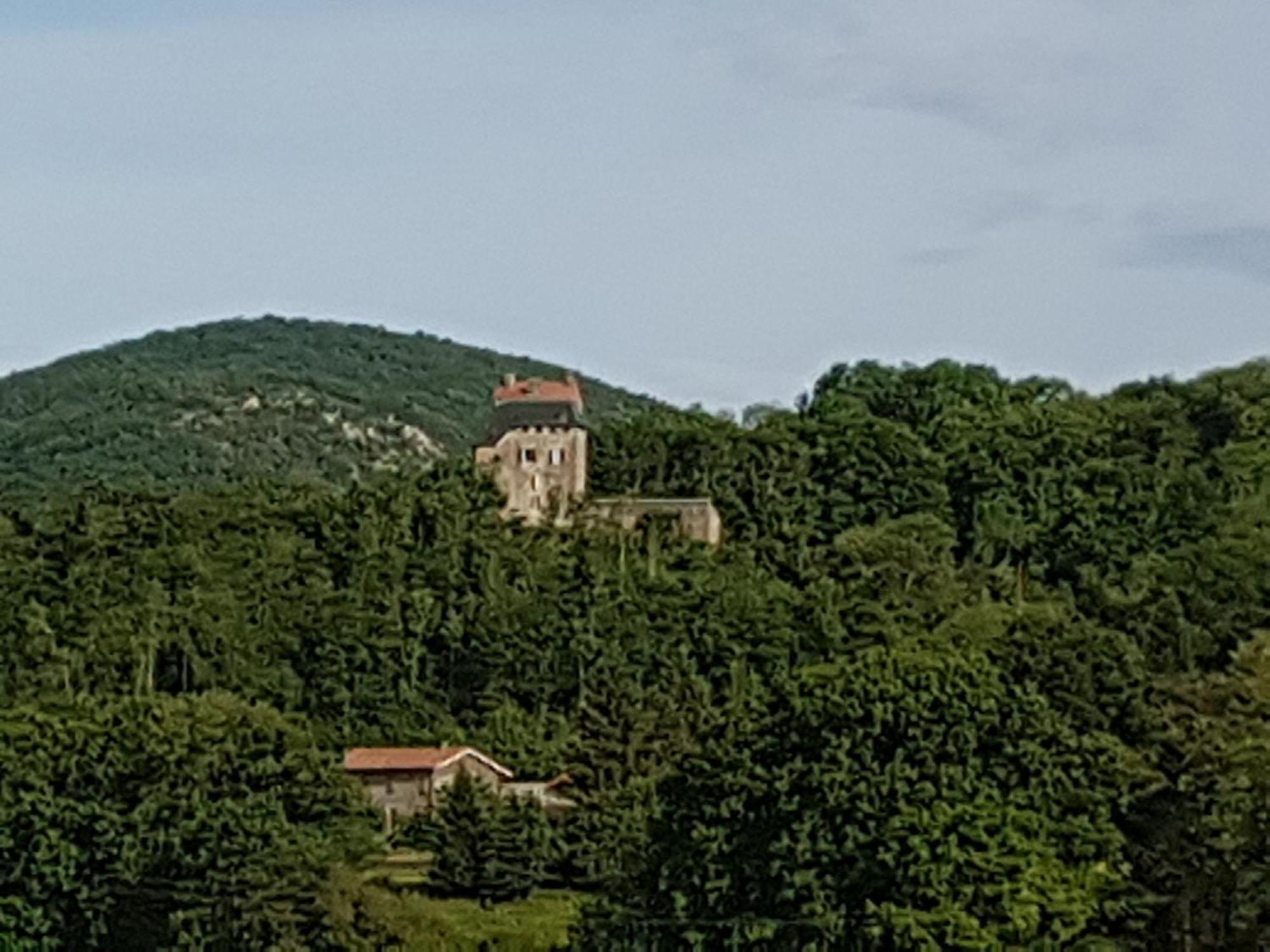 Chambre D'Hotes Chateau Montegut Rustique