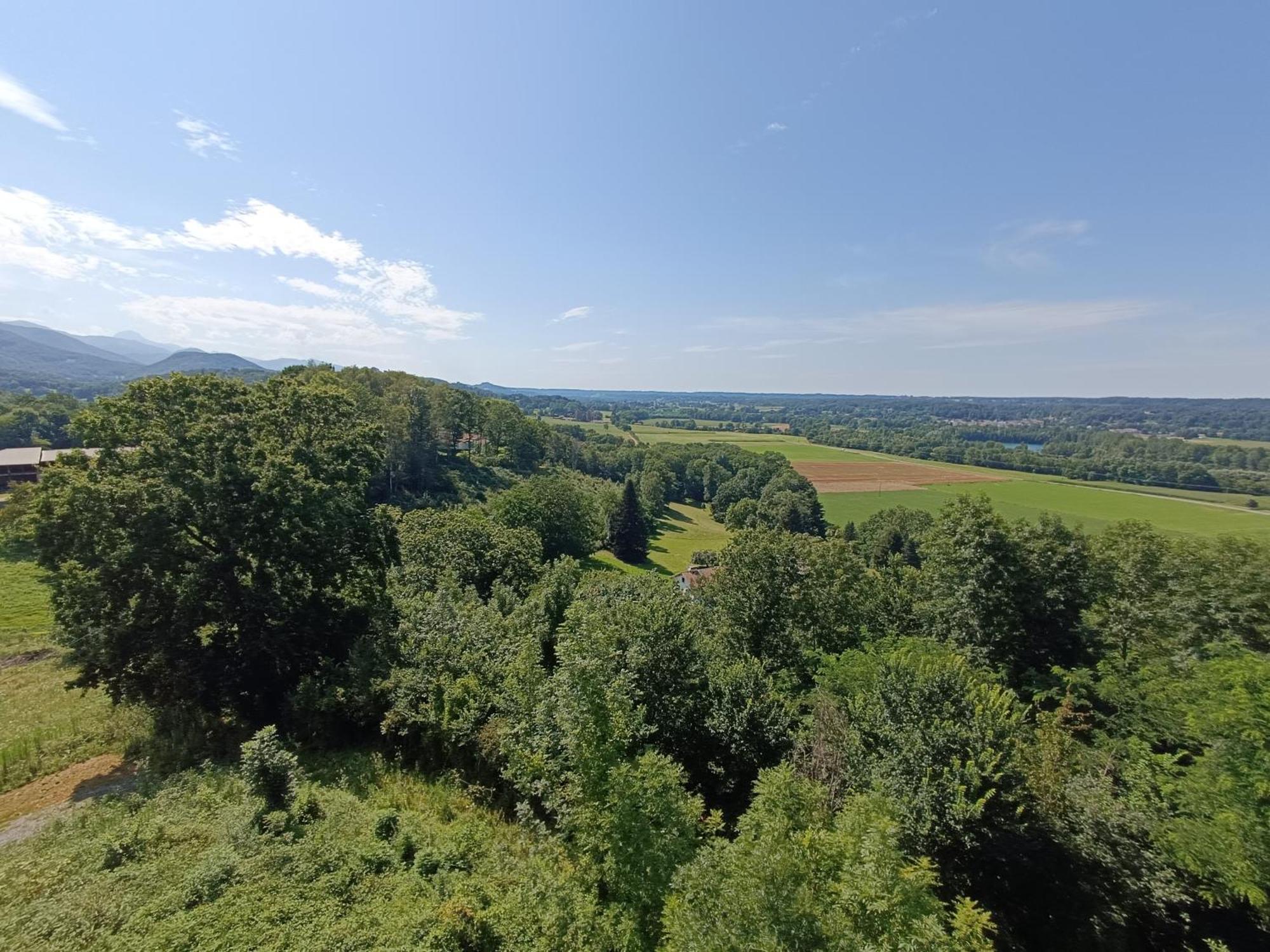 Château Montégut